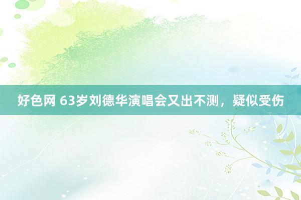 好色网 63岁刘德华演唱会又出不测，疑似受伤