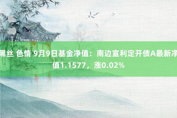 黑丝 色情 9月9日基金净值：南边宣利定开债A最新净值1.1577，涨0.02%