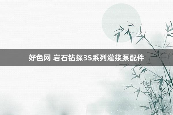 好色网 岩石钻探3S系列灌浆泵配件