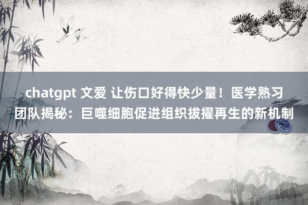 chatgpt 文爱 让伤口好得快少量！医学熟习团队揭秘：巨噬细胞促进组织拔擢再生的新机制
