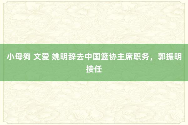 小母狗 文爱 姚明辞去中国篮协主席职务，郭振明接任