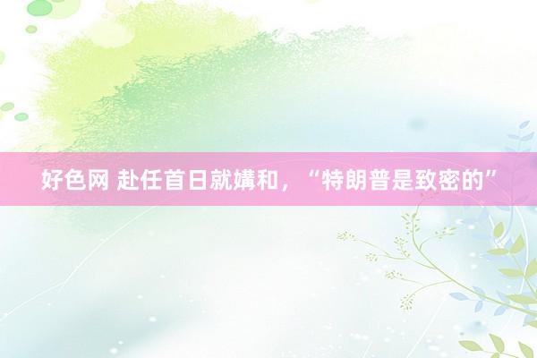 好色网 赴任首日就媾和，“特朗普是致密的”