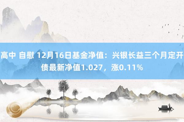 高中 自慰 12月16日基金净值：兴银长益三个月定开债最新净值1.027，涨0.11%