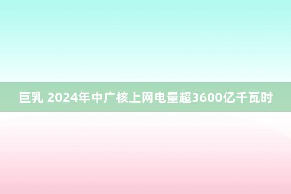 巨乳 2024年中广核上网电量超3600亿千瓦时