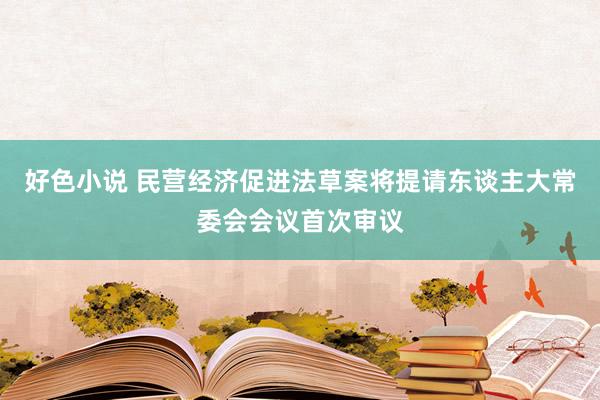好色小说 民营经济促进法草案将提请东谈主大常委会会议首次审议
