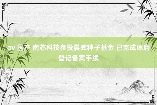 av 国产 南芯科技参投晨晖种子基金 已完成琢磨登记备案手续