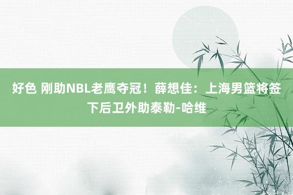 好色 刚助NBL老鹰夺冠！薛想佳：上海男篮将签下后卫外助泰勒-哈维