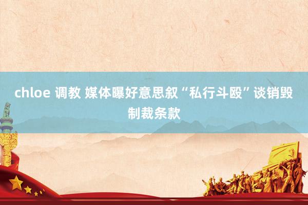 chloe 调教 媒体曝好意思叙“私行斗殴”谈销毁制裁条款