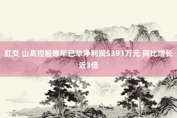 肛交 山高控股昨年已毕净利润5391万元 同比增长近3倍
