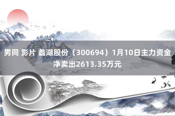 男同 影片 蠡湖股份（300694）1月10日主力资金净卖出2613.35万元