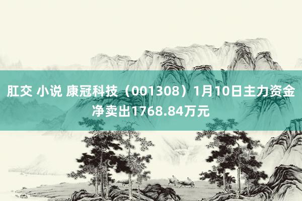 肛交 小说 康冠科技（001308）1月10日主力资金净卖出1768.84万元