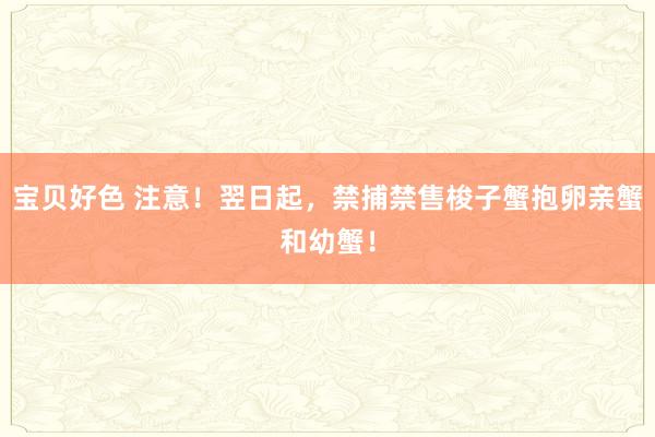 宝贝好色 注意！翌日起，禁捕禁售梭子蟹抱卵亲蟹和幼蟹！