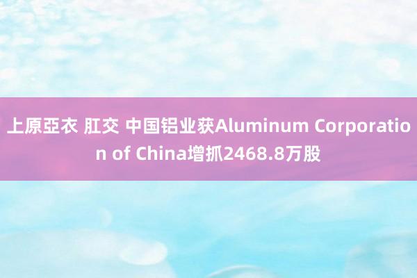 上原亞衣 肛交 中国铝业获Aluminum Corporation of China增抓2468.8万股