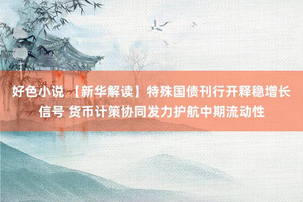 好色小说 【新华解读】特殊国债刊行开释稳增长信号 货币计策协同发力护航中期流动性