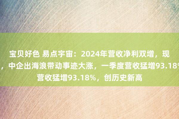 宝贝好色 易点宇宙：2024年营收净利双增，现款流增长超2倍，中企出海浪带动事迹大涨，一季度营收猛增93.18%，创历史新高