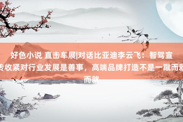 好色小说 直击车展|对话比亚迪李云飞：智驾宣传收紧对行业发展是善事，高端品牌打造不是一蹴而就